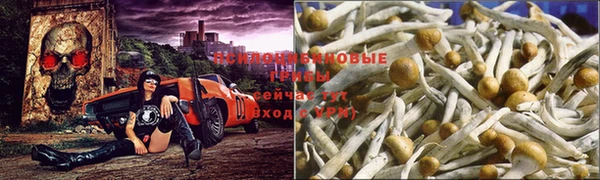 мескалин Баксан